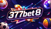 377bet8